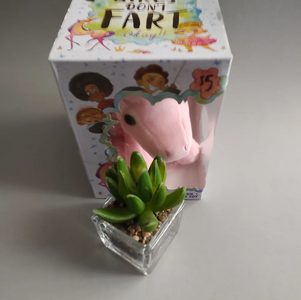 Spirit book+huggable toy